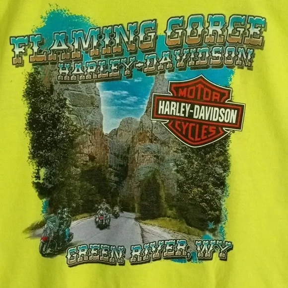 Harley-Davidson Safety Green Short Sleeve Tee Men’s Large - Picture 3 of 6